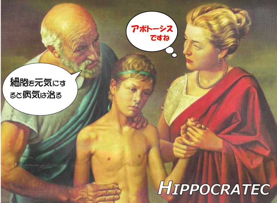 アポトーシス＿ヒポクラテス